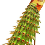 mon puzzle 3d  Puzzle 3D Métal Paon Impérial